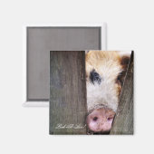 SCHWEINE MAGNET (Vorderseite/Rückseite)