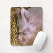SCHWEINE MOUSEPAD (Mit Mouse)