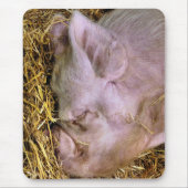 SCHWEINE MOUSEPAD (Vorne)