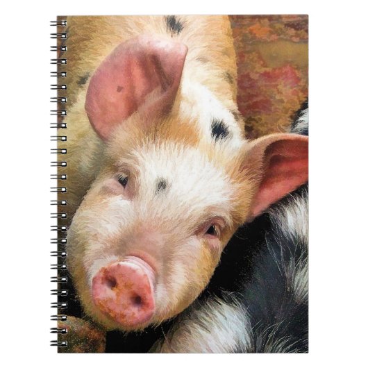 SCHWEINE NOTIZBLOCK (Vorderseite)