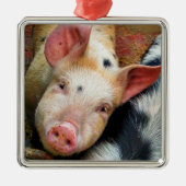 SCHWEINE ORNAMENT AUS METALL (Vorne)