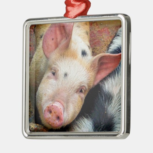 SCHWEINE ORNAMENT AUS METALL (Links)