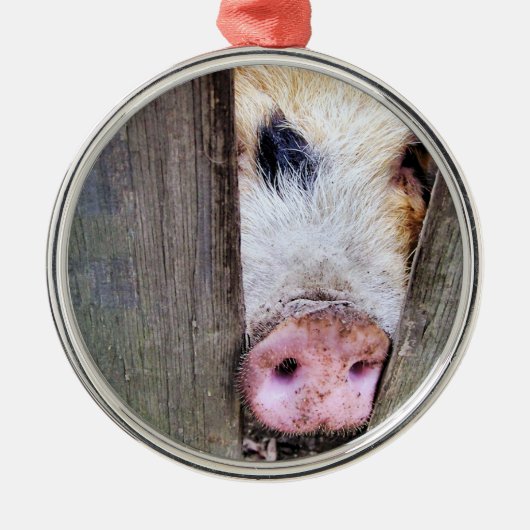 SCHWEINE ORNAMENT AUS METALL (Vorne)