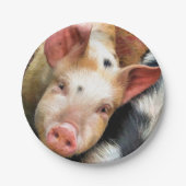 SCHWEINE PAPPTELLER (Vorderseite)