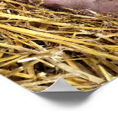 SCHWEINE POSTER (Ecke)