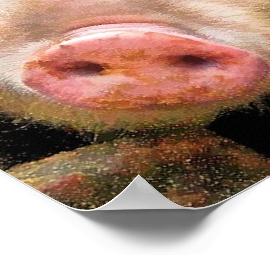 SCHWEINE POSTER (Ecke)