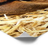 SCHWEINE POSTER (Ecke)