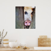 SCHWEINE POSTER (Küche)