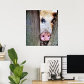 SCHWEINE POSTER (Heimbüro)