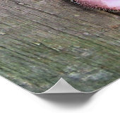 SCHWEINE POSTER (Ecke)