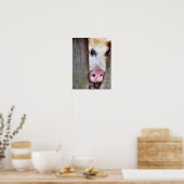 SCHWEINE POSTER (Küche)