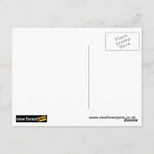 Schweine Postkarte (Rückseite)