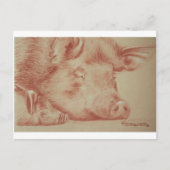 Schweine Postkarte (Vorderseite)