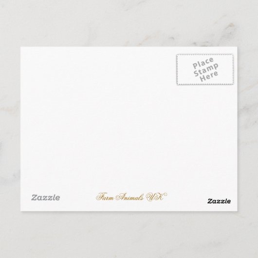 SCHWEINE POSTKARTE (Rückseite)