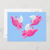 Schweine Postkarte (Vorne/Hinten)