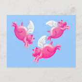 Schweine Postkarte (Vorderseite)