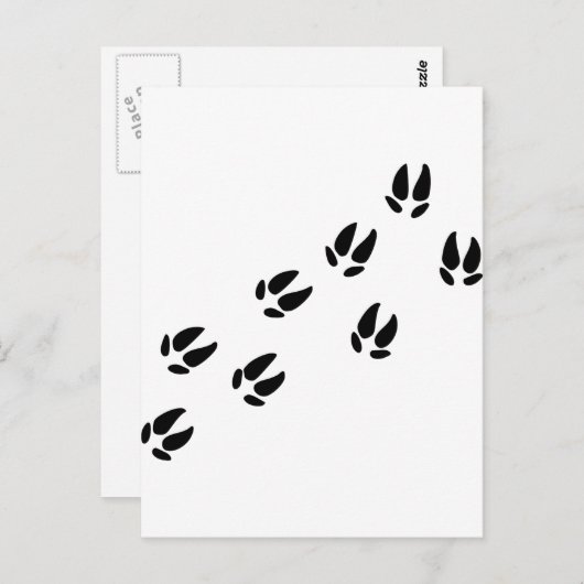 Schweine Postkarte (Vorne/Hinten)