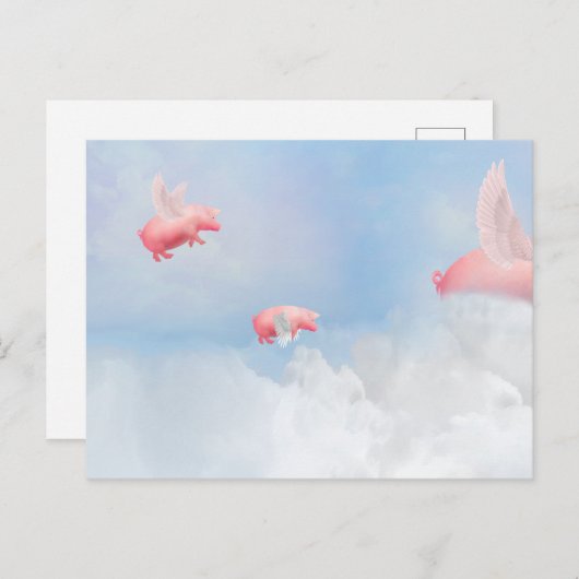 Schweine Postkarte (Vorne/Hinten)