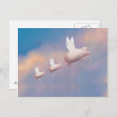 Schweine Postkarte (Vorne/Hinten)
