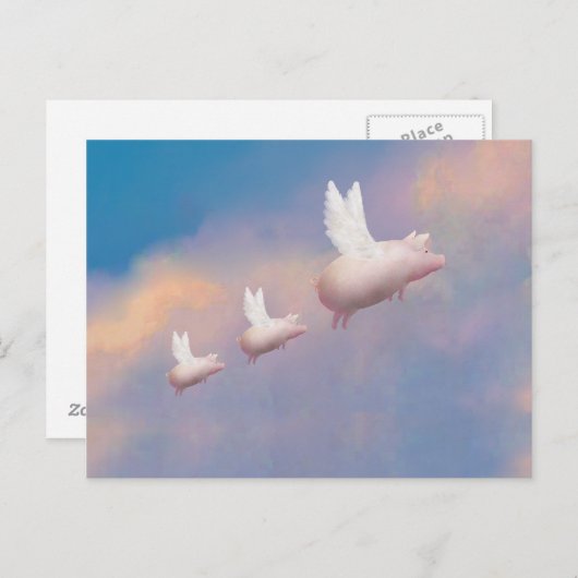 Schweine Postkarte (Vorne/Hinten)