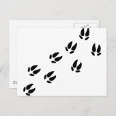 Schweine Postkarte (Vorne/Hinten)