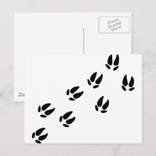 Schweine Postkarte (Vorne/Hinten)