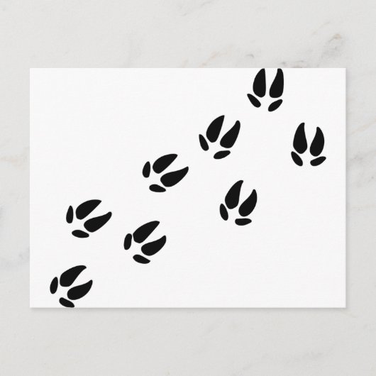 Schweine Postkarte (Vorderseite)