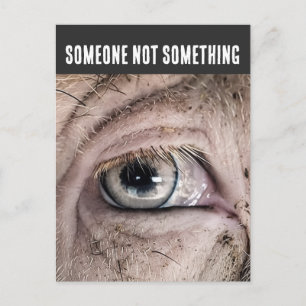 Schweine-Postkarte, JEMAND NICHT ETWAS Postkarte