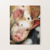 SCHWEINE PUZZLE (Vertikal)