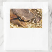 SCHWEINE RECHTECKIGER AUFKLEBER (Tasche)