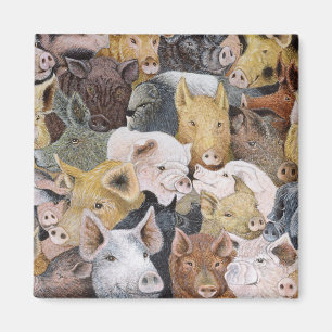 Schweine reichlich magnet