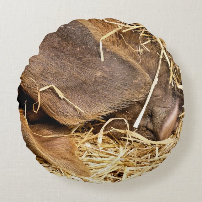 SCHWEINE RUNDES KISSEN (Vorderseite)