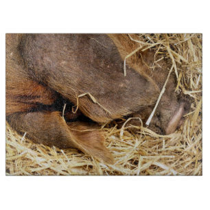 SCHWEINE SCHNEIDEBRETT