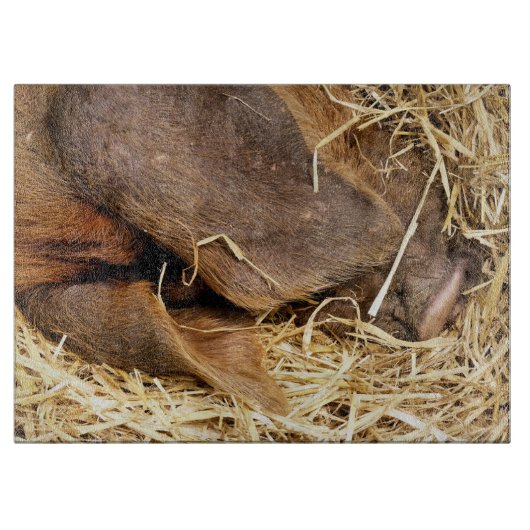 SCHWEINE SCHNEIDEBRETT (Vorderseite)