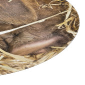 SCHWEINE SCHNEIDEBRETT (Ecke)