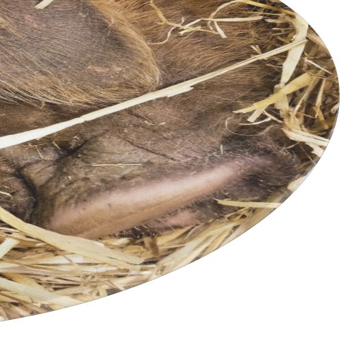 SCHWEINE SCHNEIDEBRETT (Ecke)