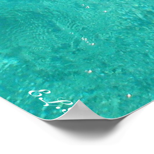 Schweine schwimmen poster (Ecke)