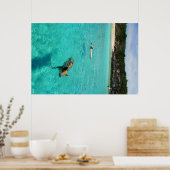 Schweine schwimmen poster (Küche)