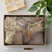 SCHWEINE SEIDENPAPIER (Geschenk)