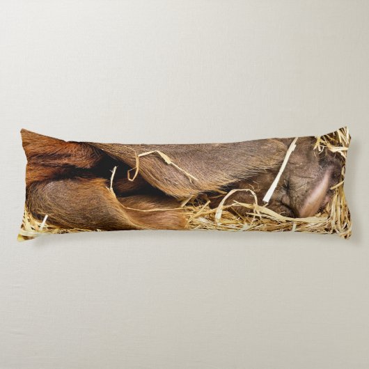 SCHWEINE SEITENSCHLÄFERKISSEN (Vorderseite)