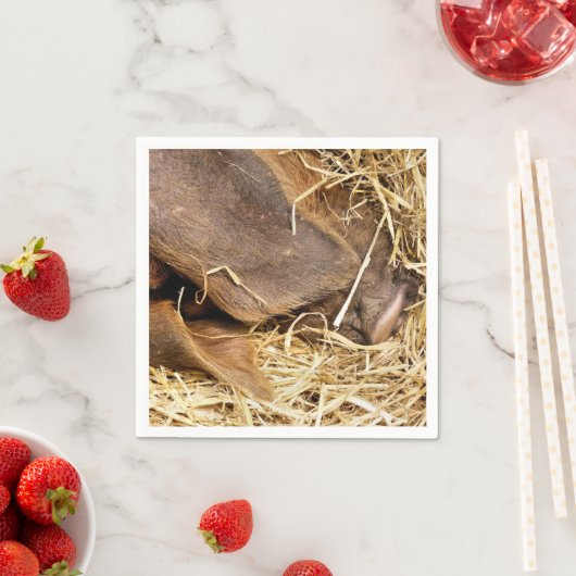 SCHWEINE SERVIETTE (Beispiel)