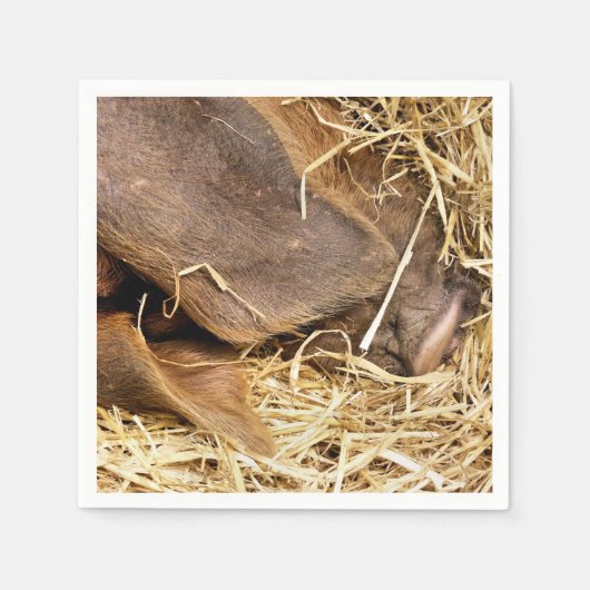 SCHWEINE SERVIETTE (Vorderseite)