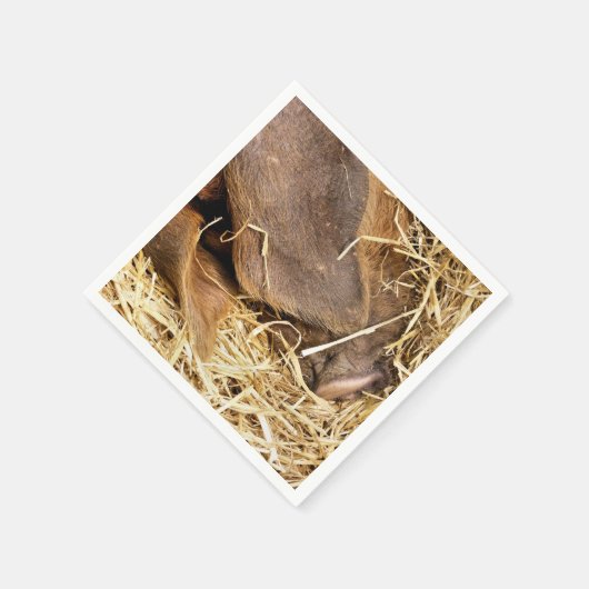 SCHWEINE SERVIETTE (Ecke)