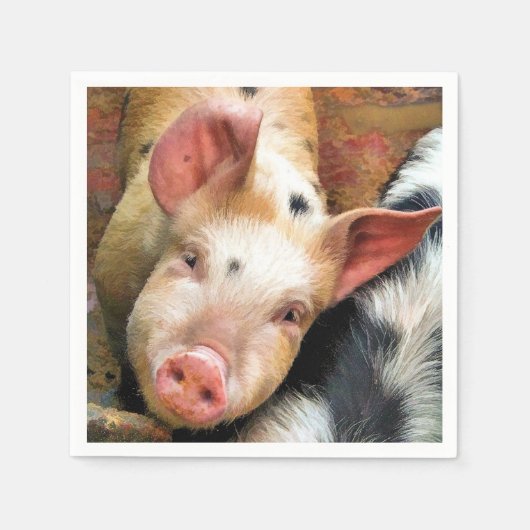 SCHWEINE SERVIETTE (Vorderseite)