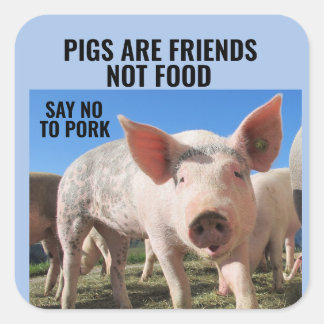 SCHWEINE SIND FREUNDE, NICHT LEBENSMITTEL - VEGANE QUADRATISCHER AUFKLEBER