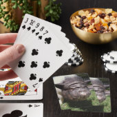 Schweine Spielkarten (In Situ)
