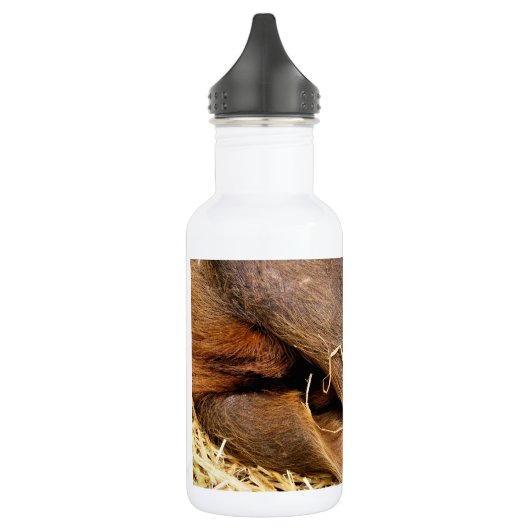 SCHWEINE TRINKFLASCHE (Links)