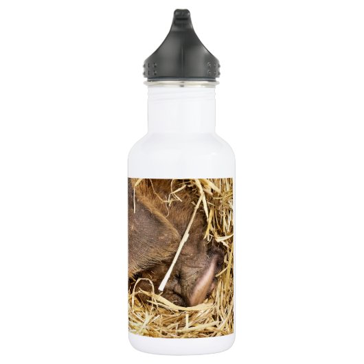SCHWEINE TRINKFLASCHE (Rechts)