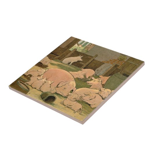 Schweine und Ferkel im Betrieb Fliese (Seite)