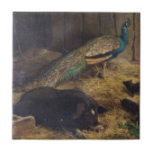 Schweine und Pfau durch Friseur Charless Burton im Fliese (Vorderseite)